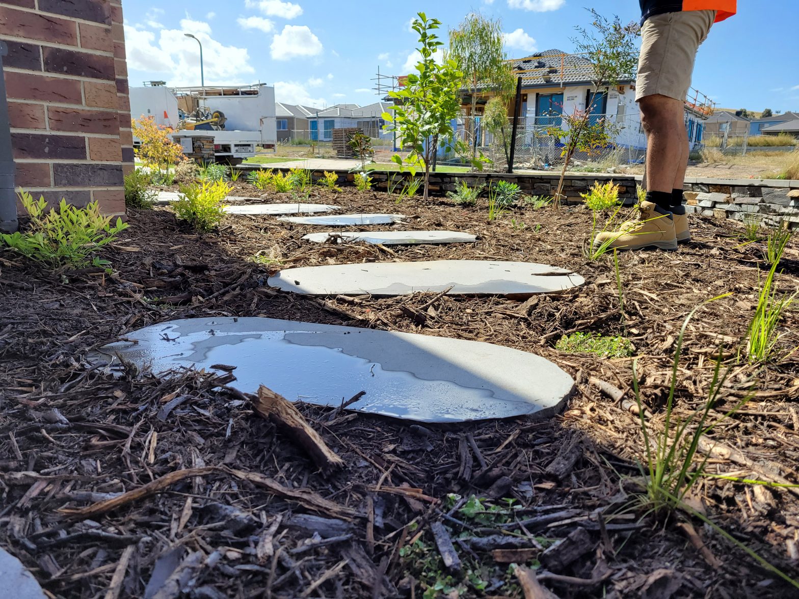Lushlandscaping