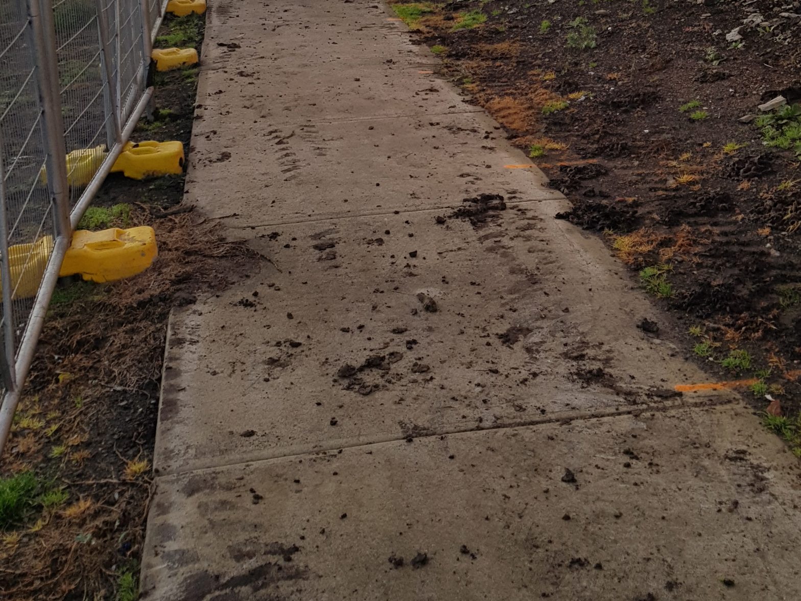 Lushlandscaping