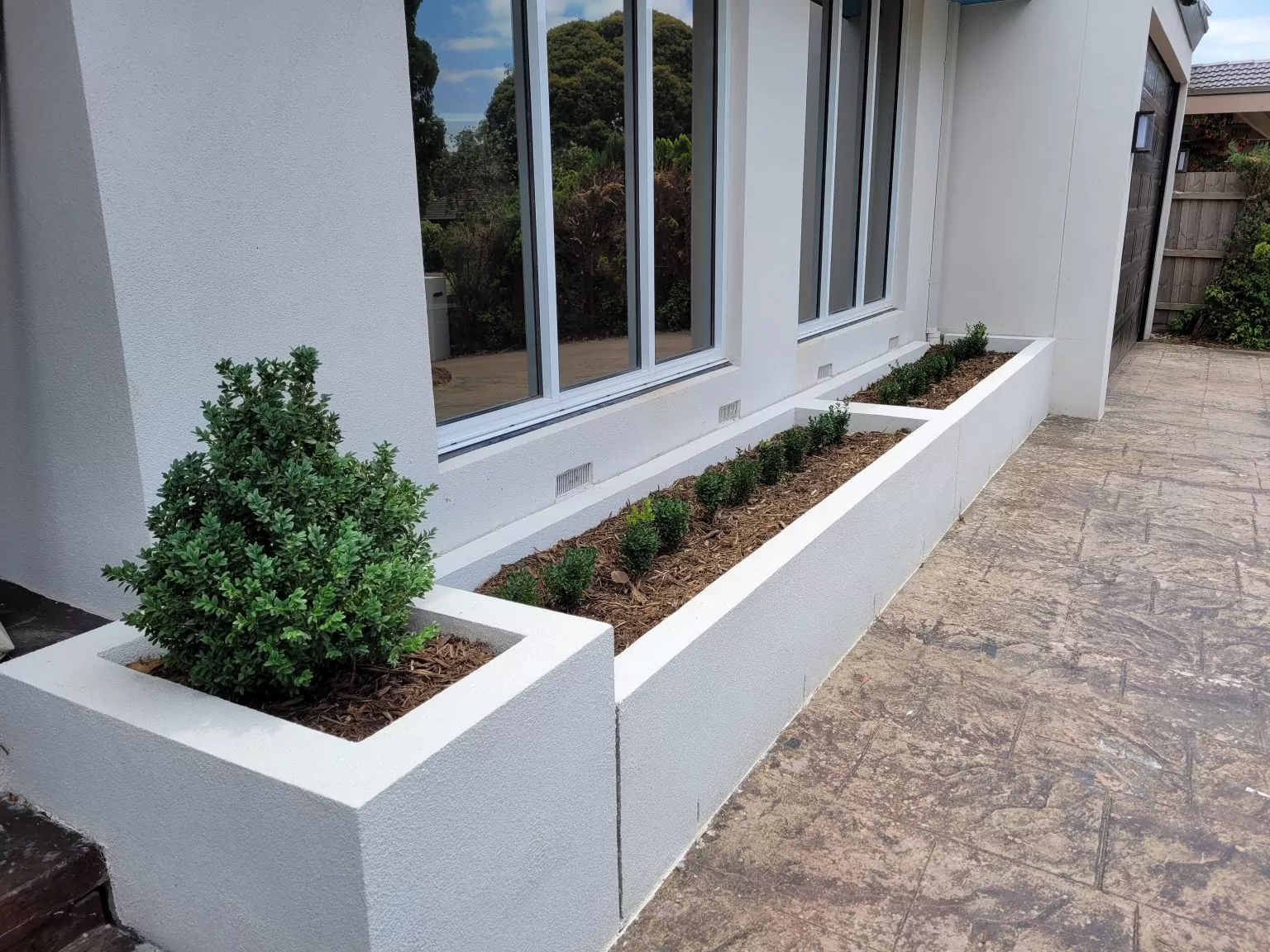 plant selection