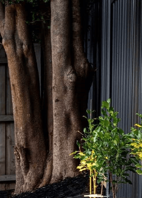 Artificial Grass Installation Melbourne