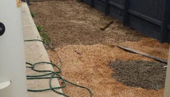 Synthetic Lawn