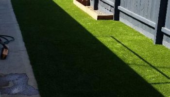Synthetic Lawn